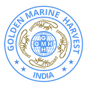 golden-marine